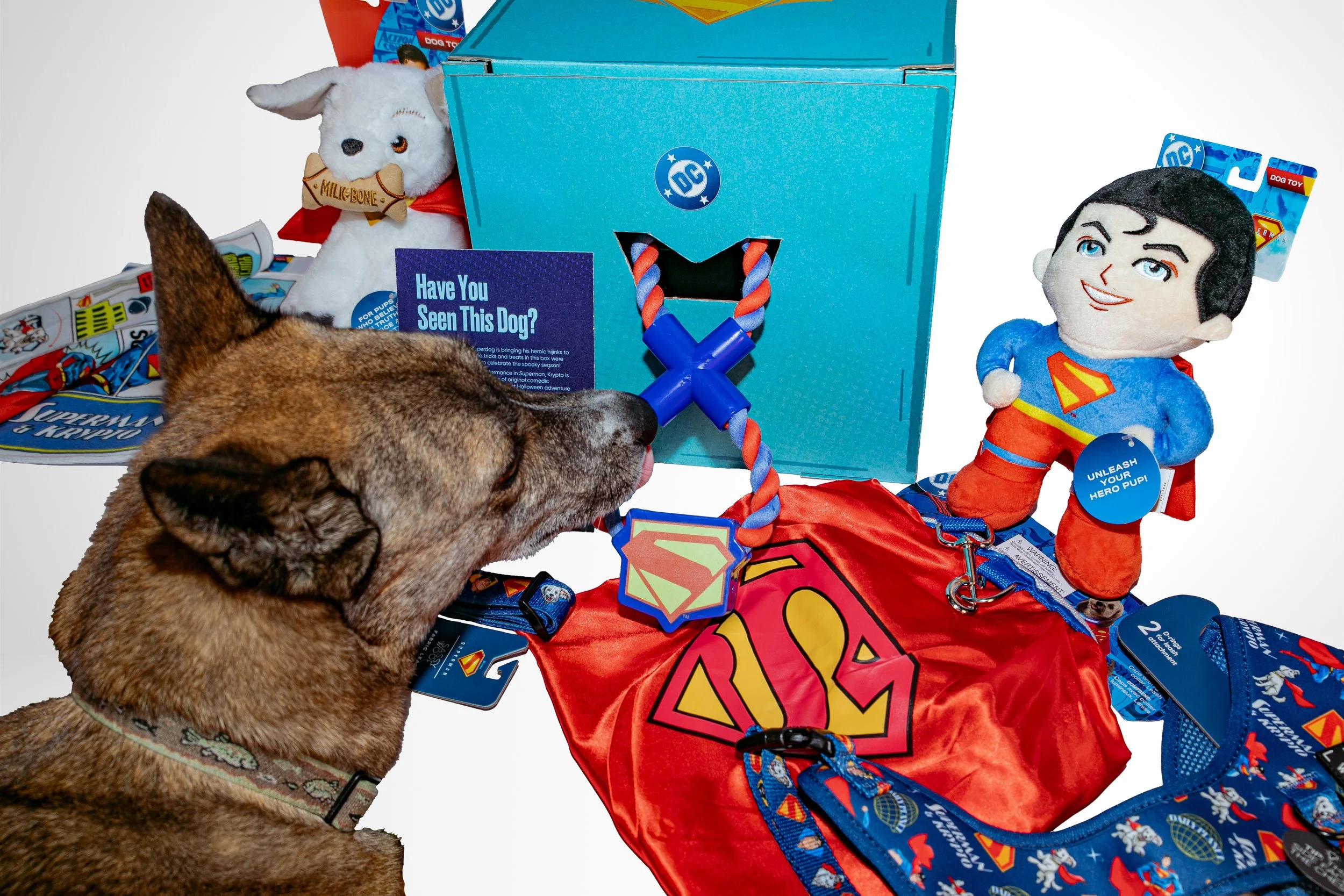 Krypto_PR Box_Halloween_2025-5.jpg