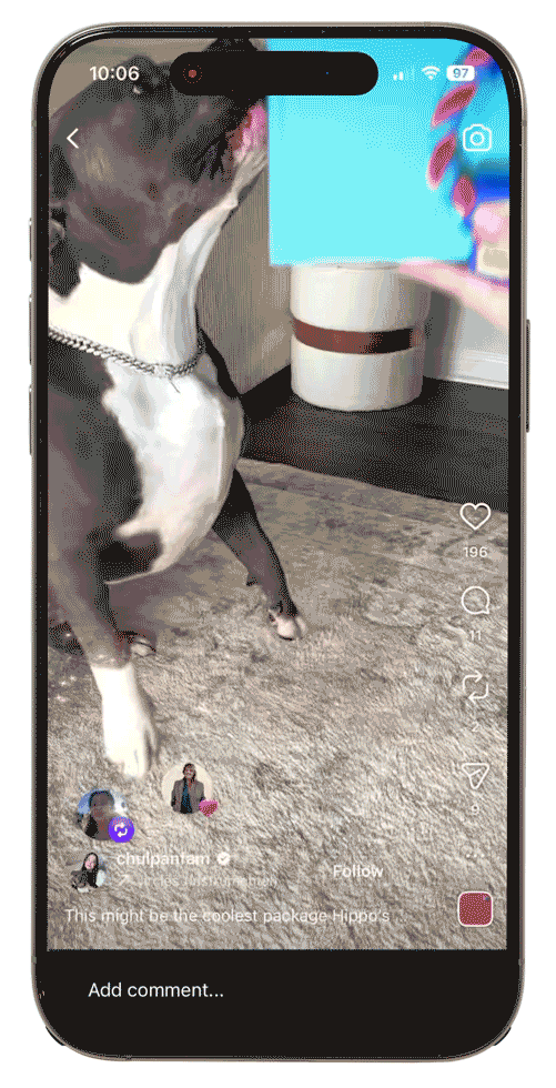 krypto-vid-01-1.gif