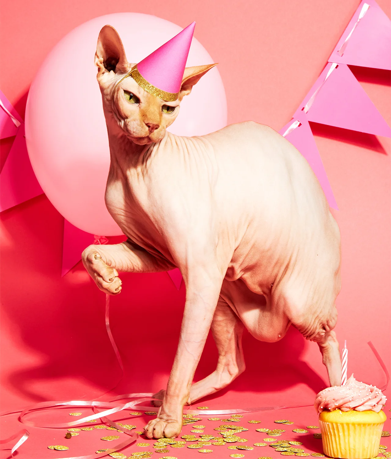 XerxesBirthday_15120.jpg