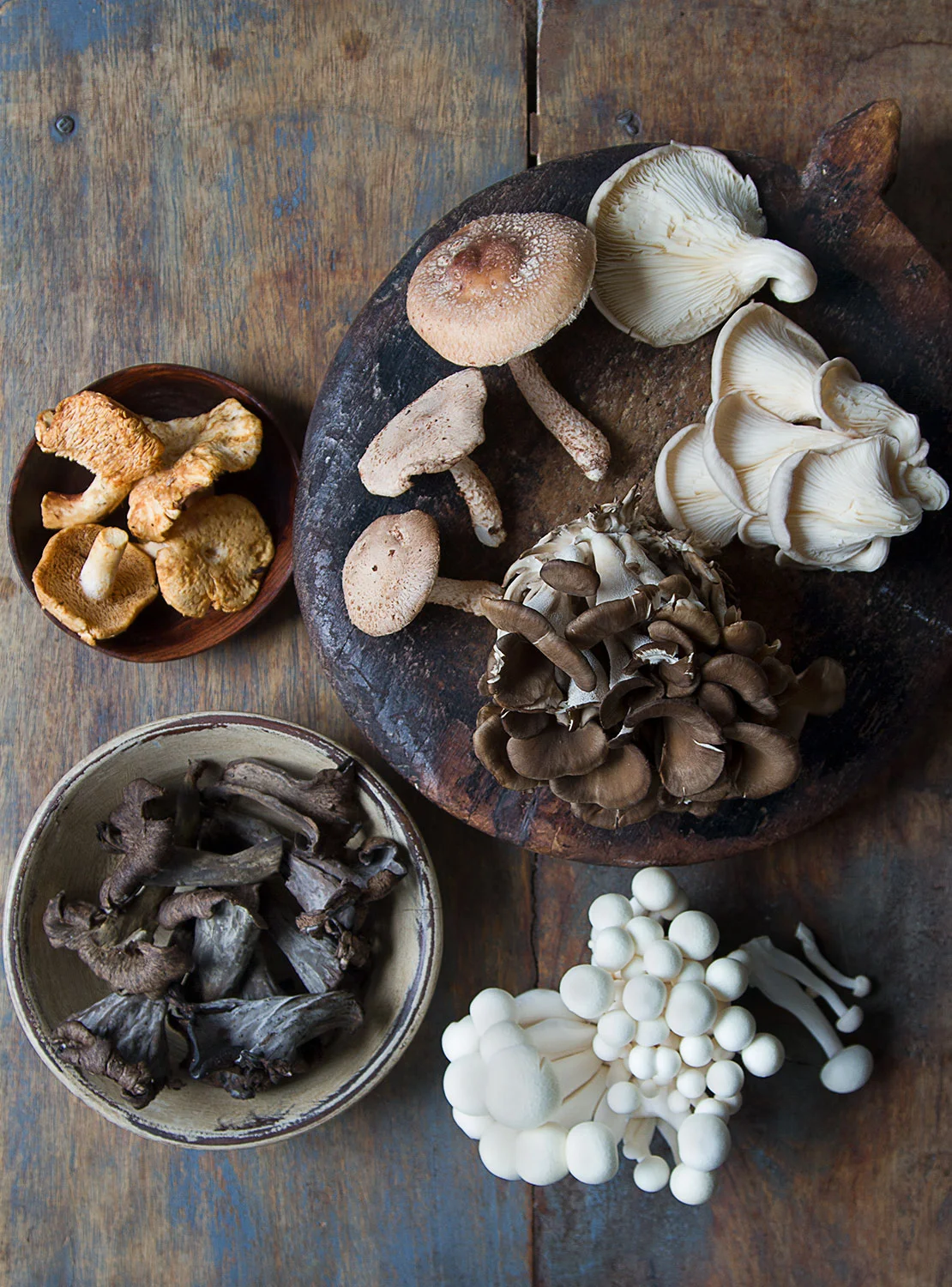 mushrooms-43464.jpg