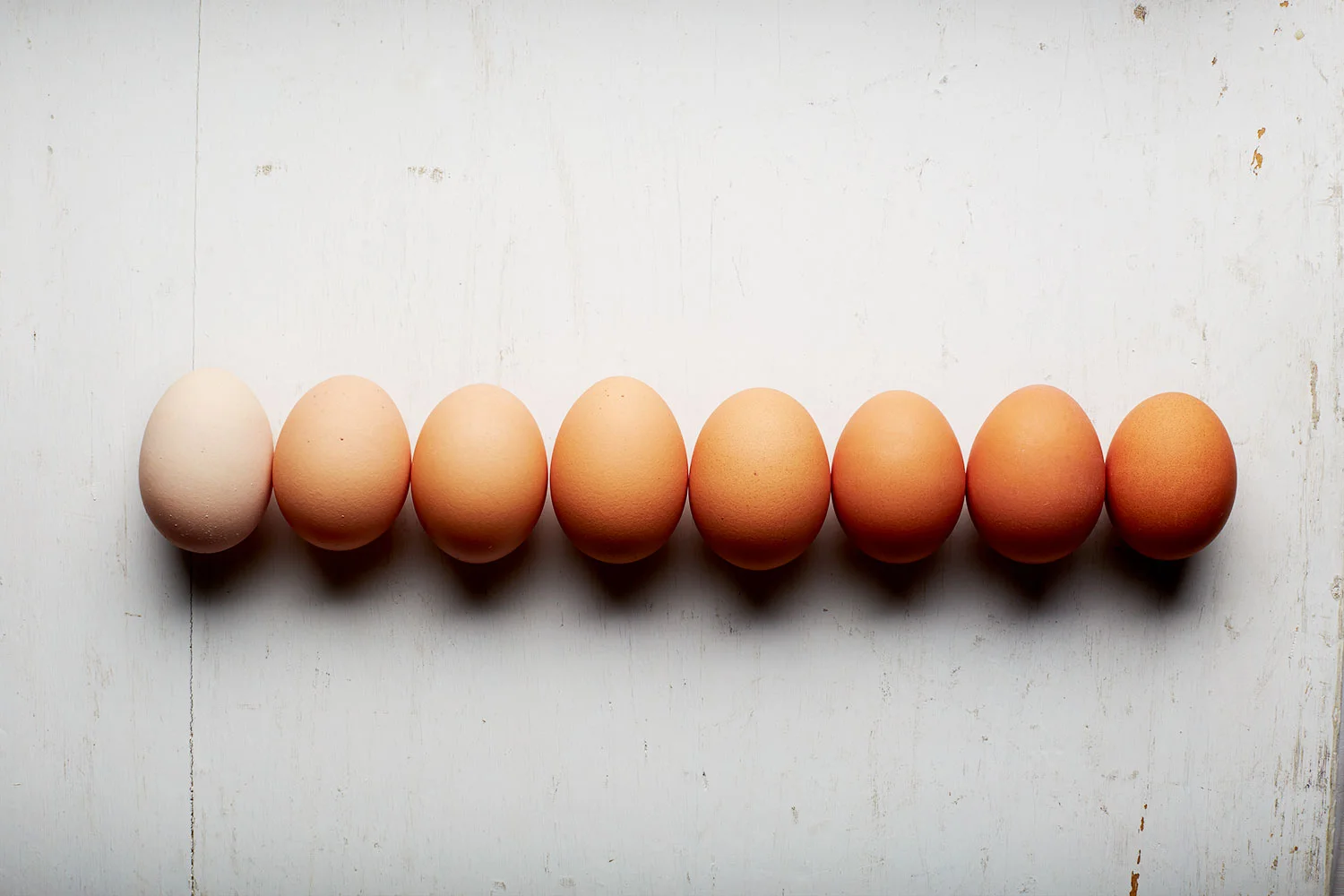 ombre-eggs-0408-SELECT.jpg