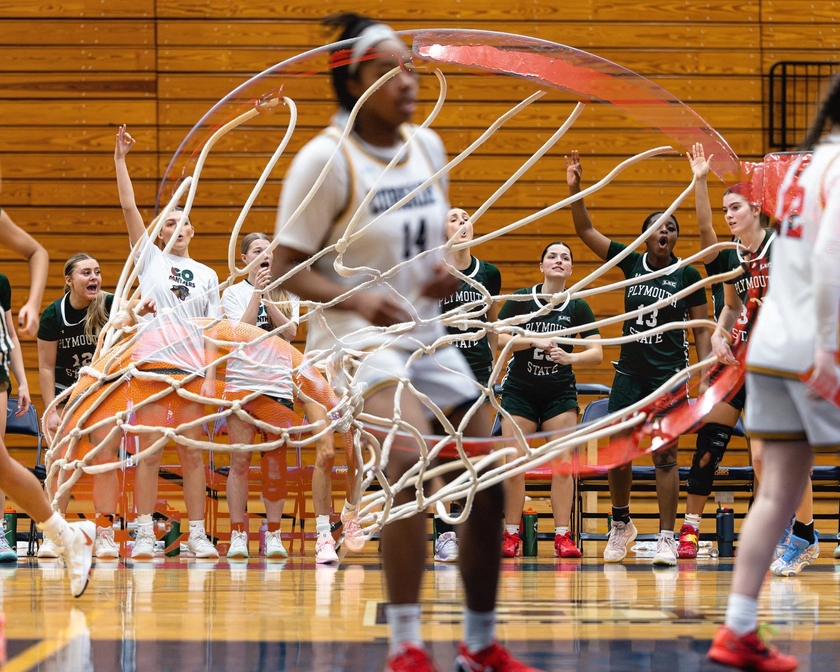 PSU_WBB_DE copy.jpg