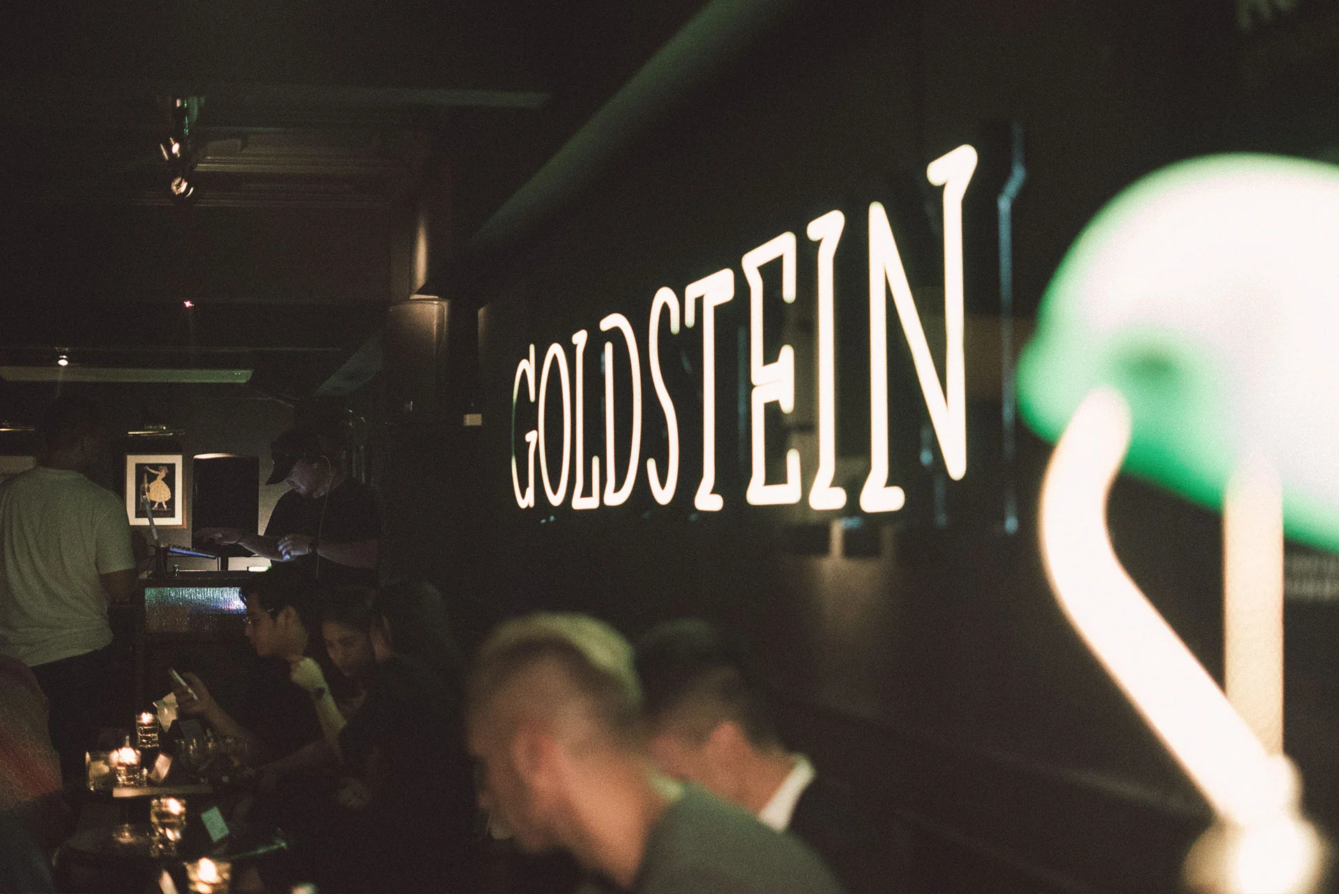 DLH-Web-Goldstein-image6.jpg