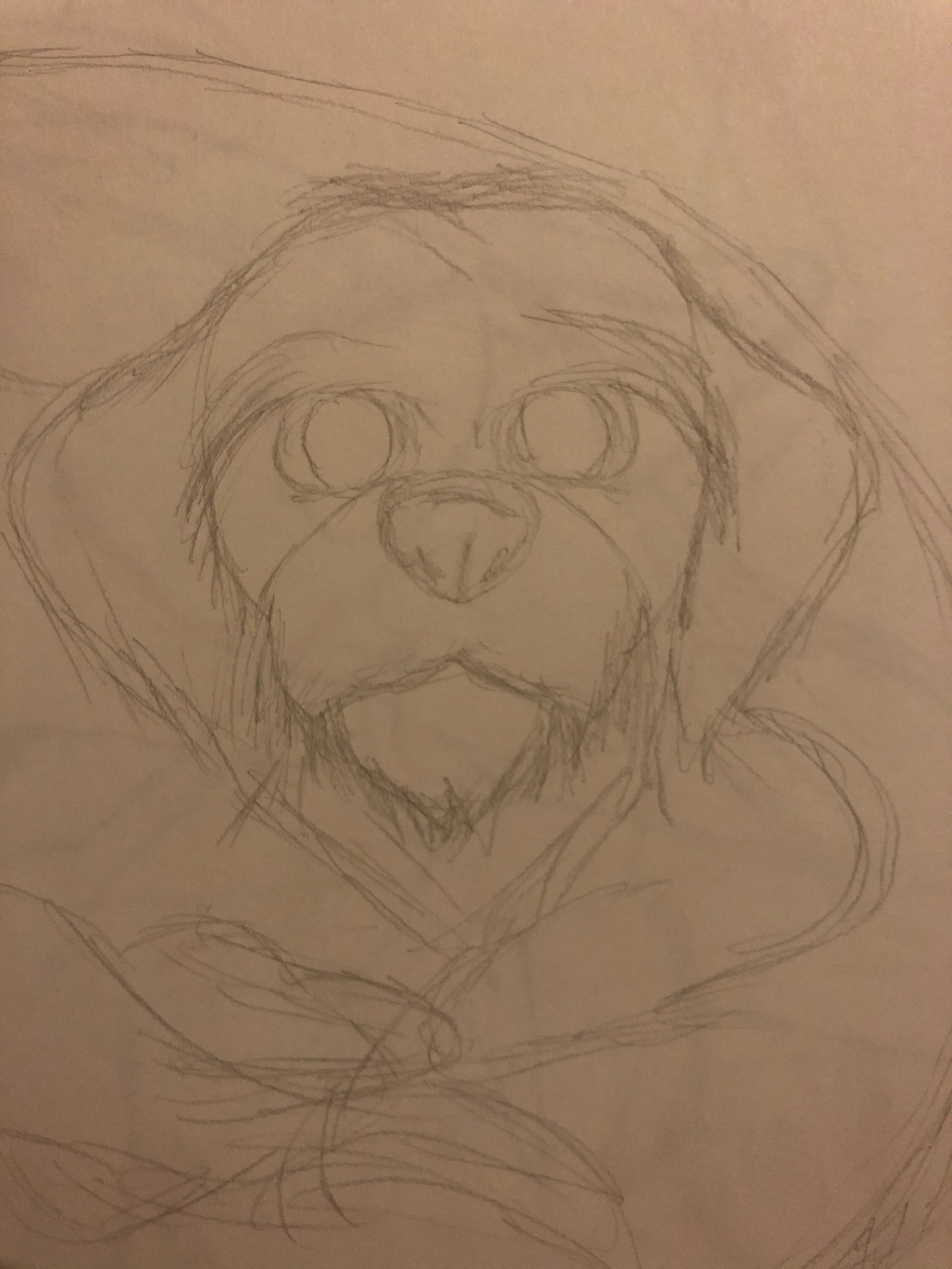 Huey Portrait.JPG