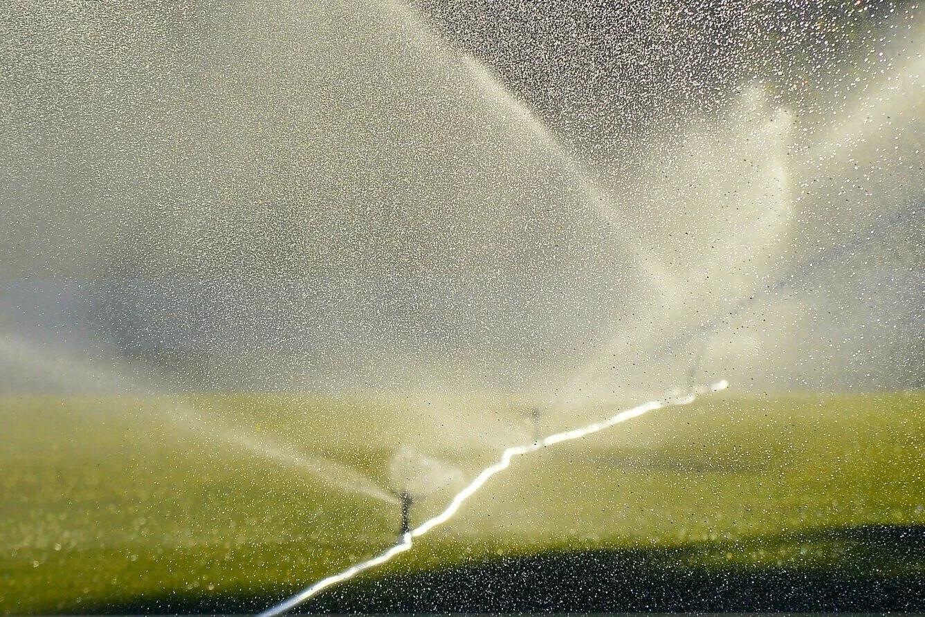 How to Choose the Best Lawn Sprinkler