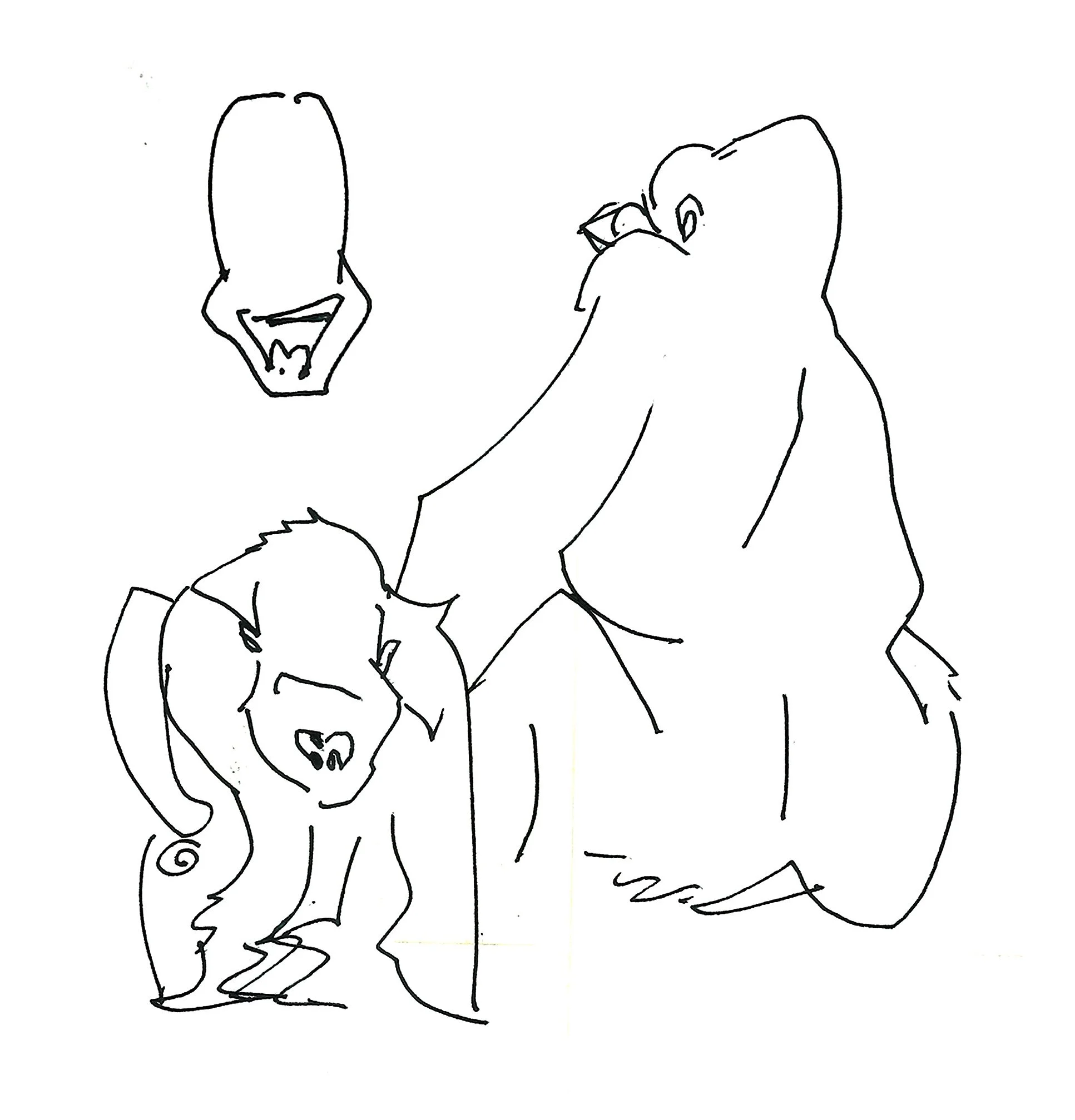 gorillas.jpg