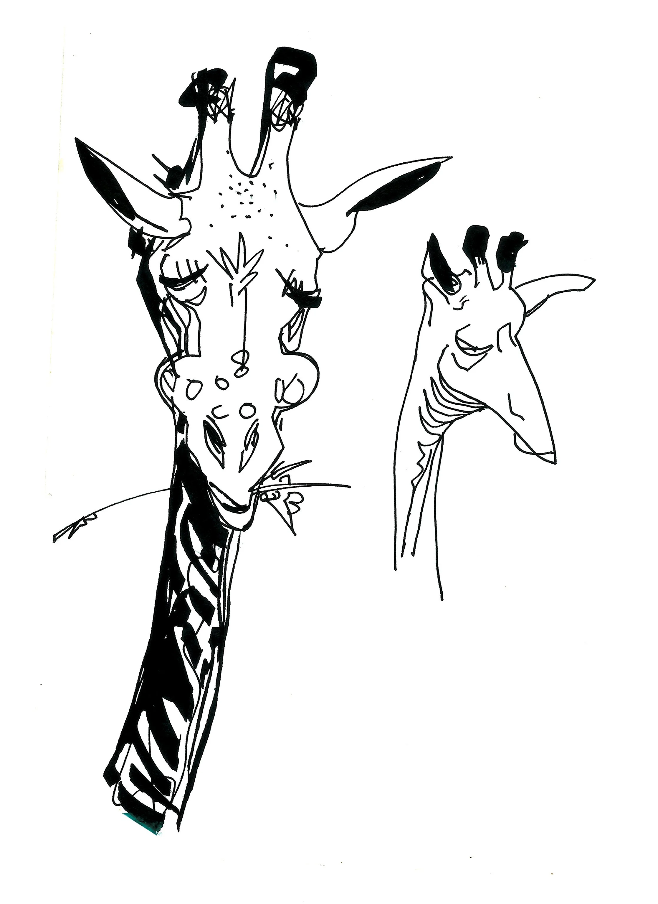 giraffe.jpg