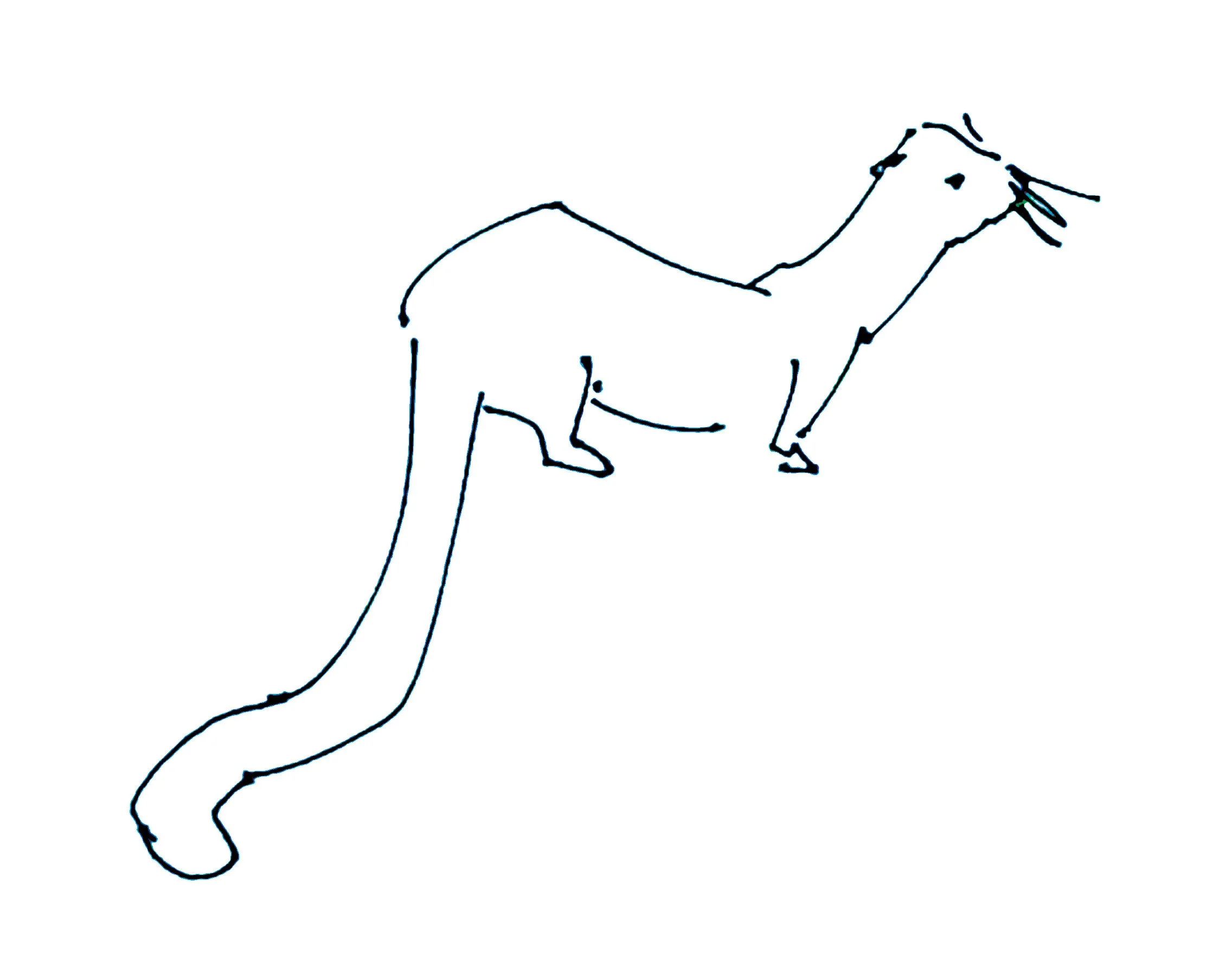 otter.jpg