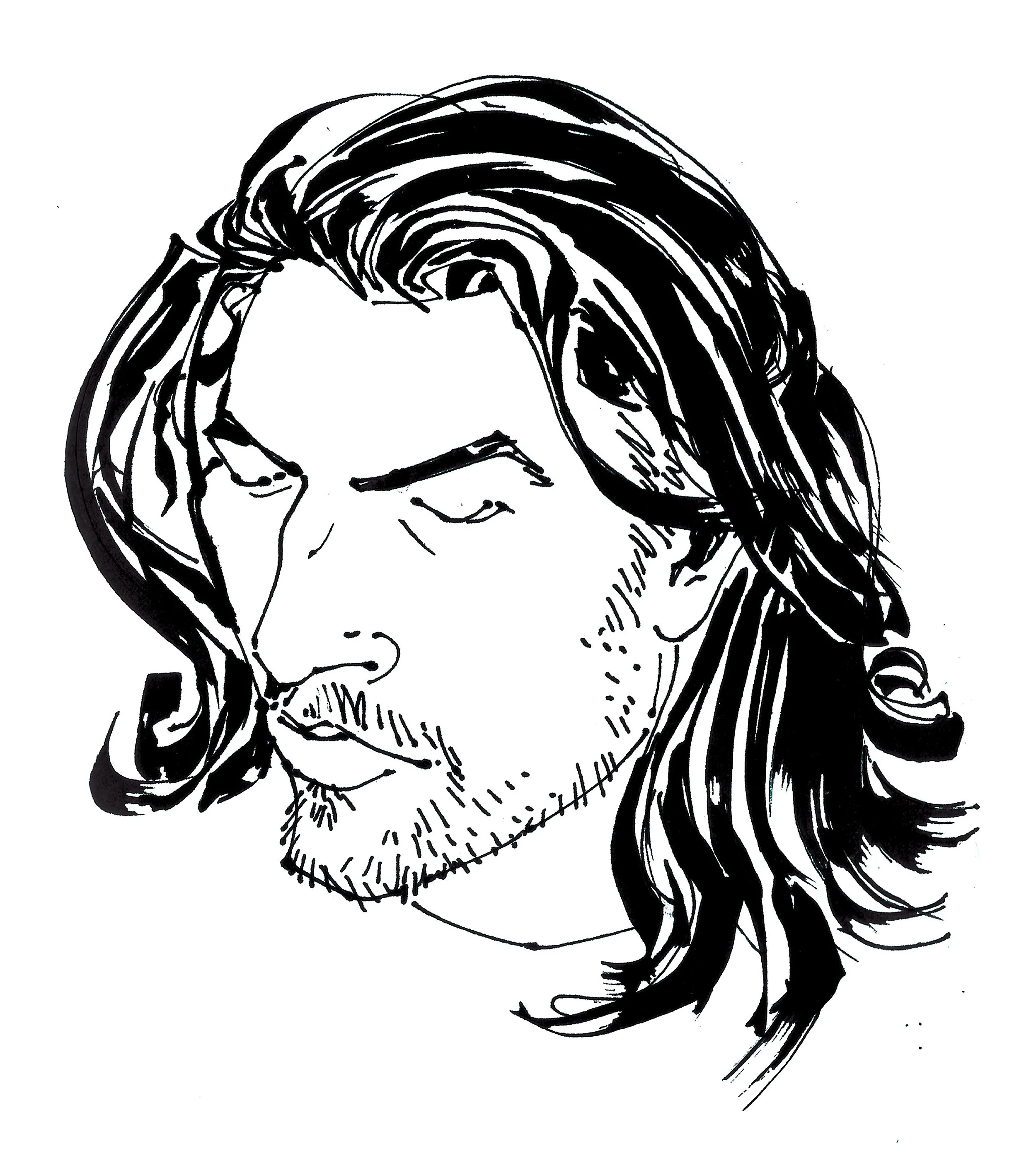 steve.jpg
