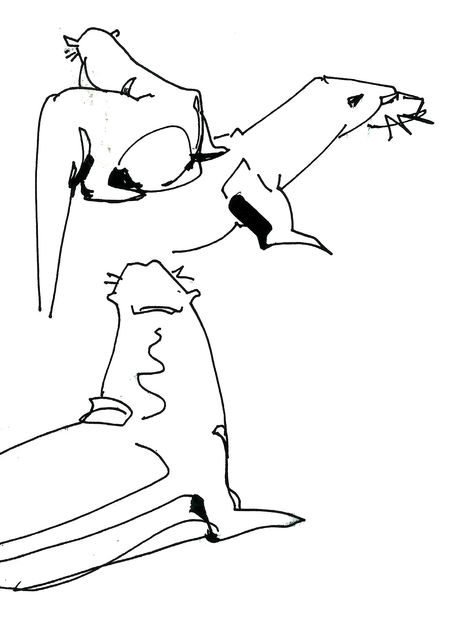 otter.jpg