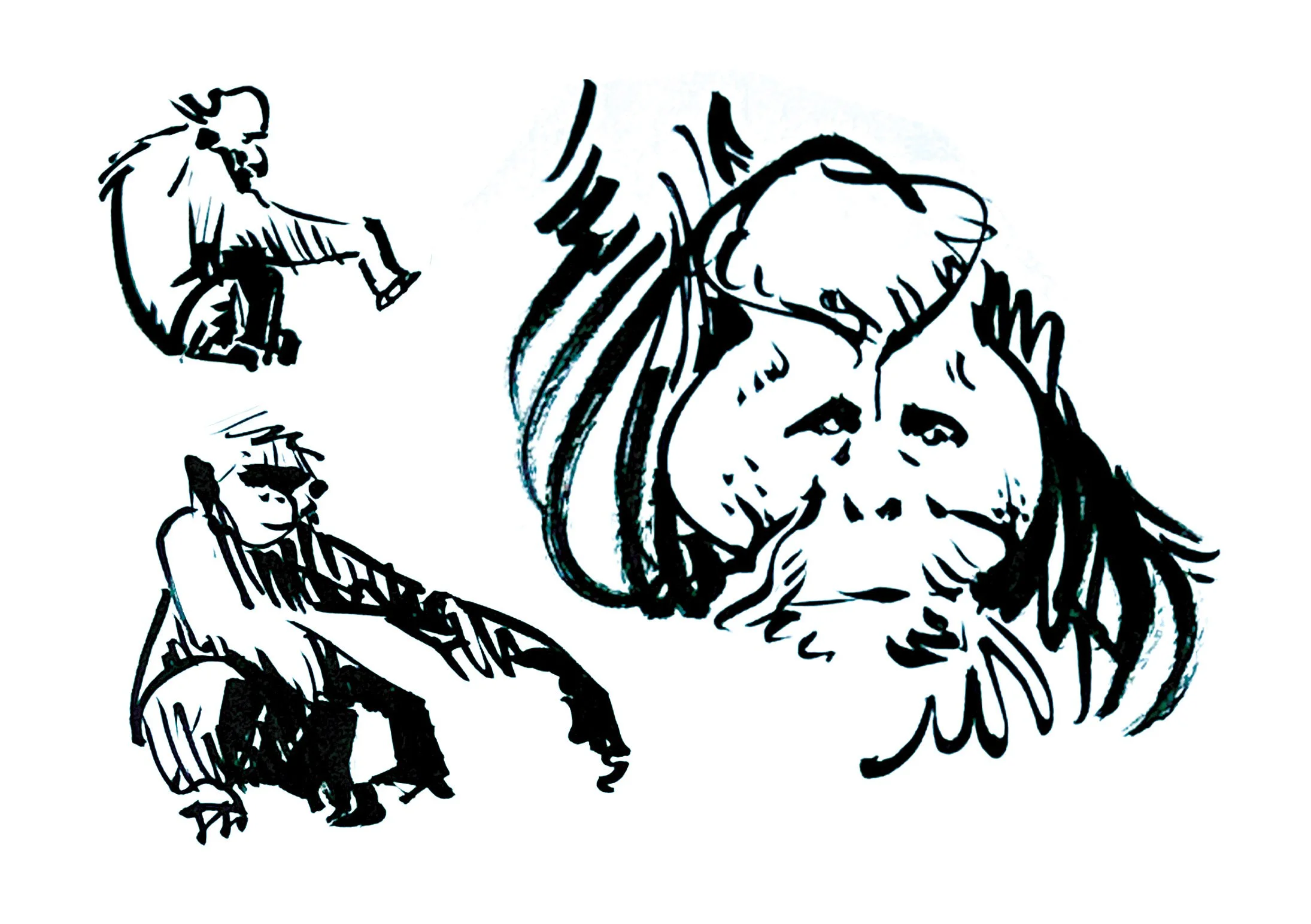 ape.jpg