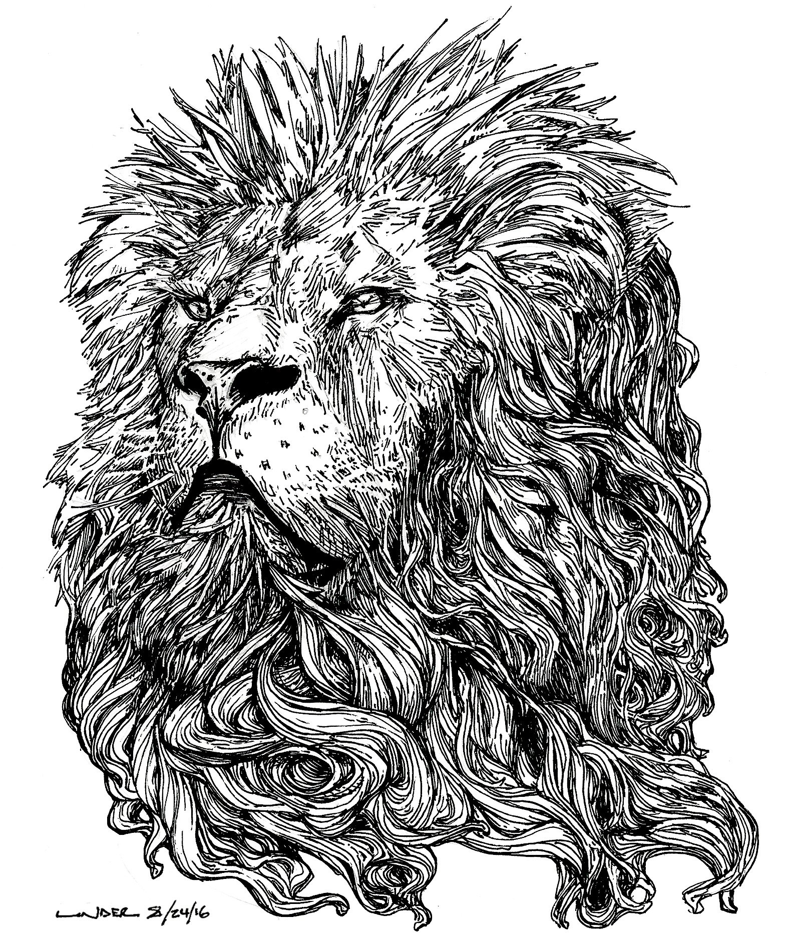 Lion.jpg