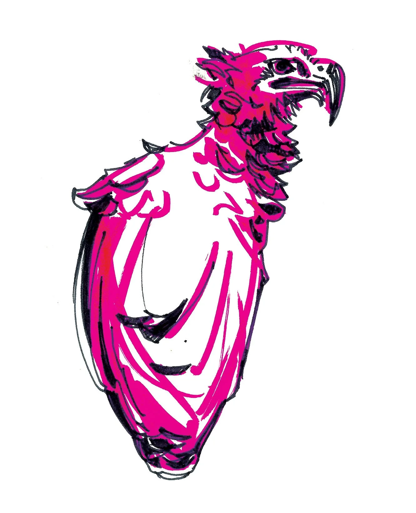 biirb.jpg
