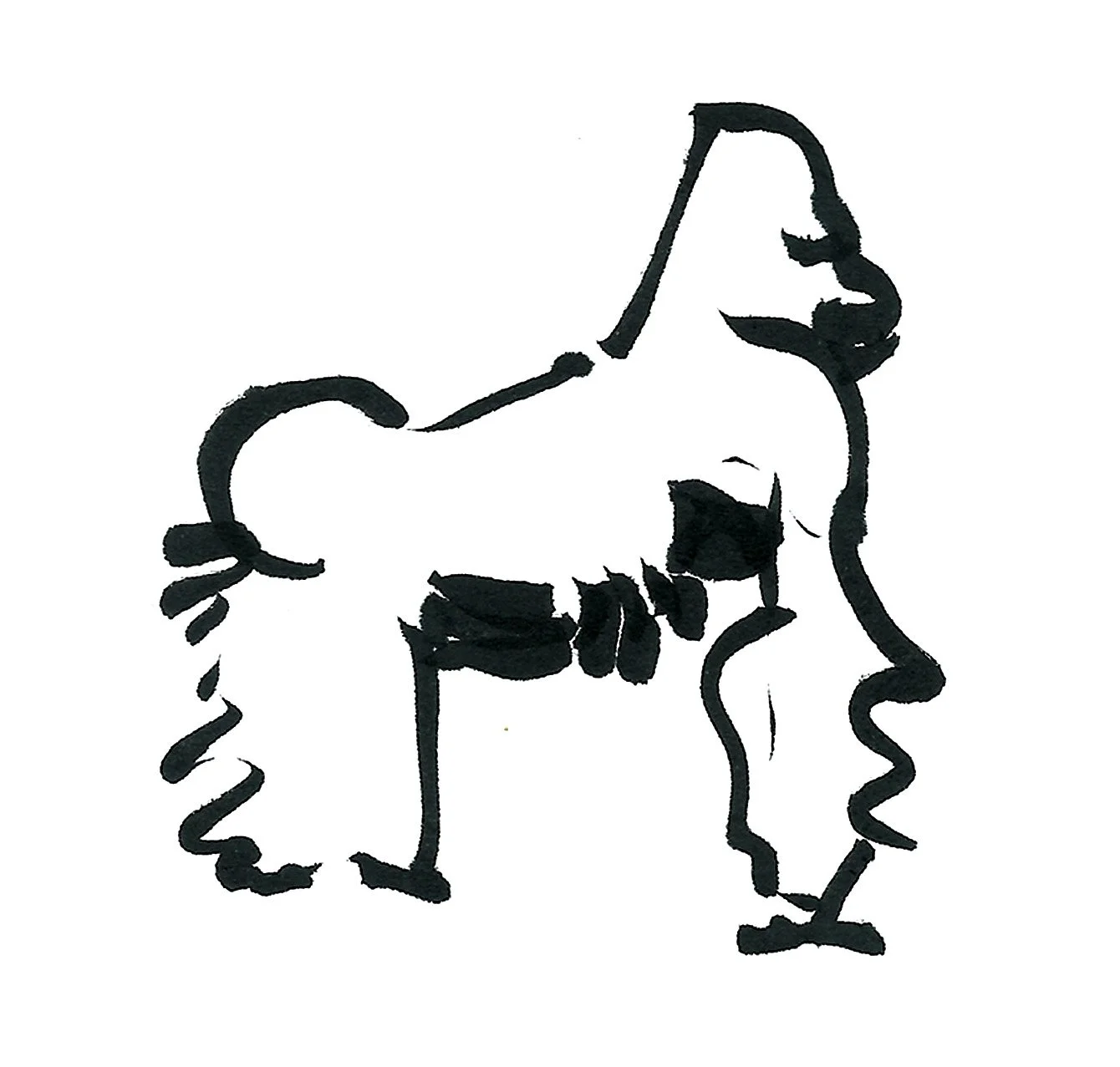gorilla22.jpg