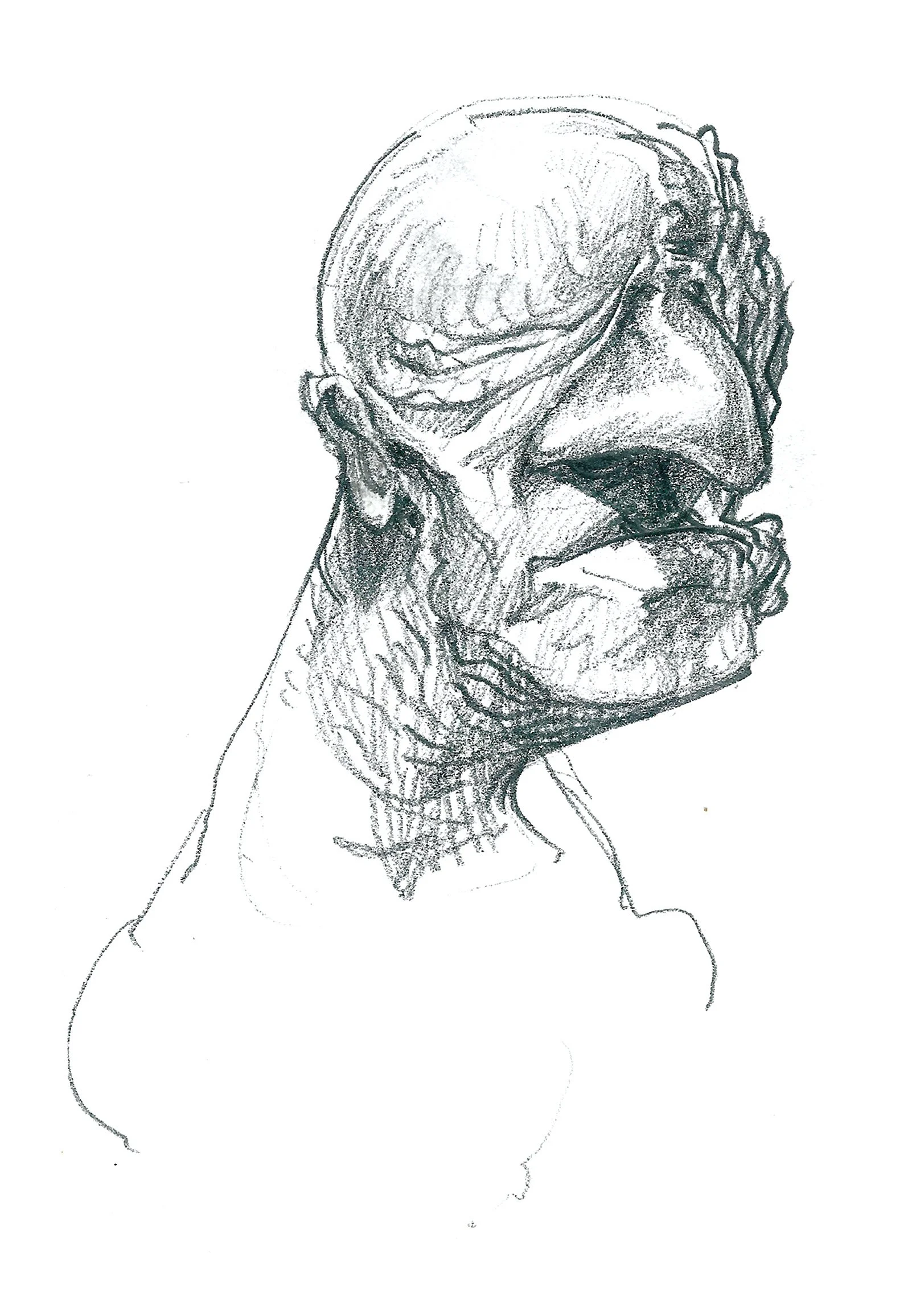 wrinkly 1.jpg