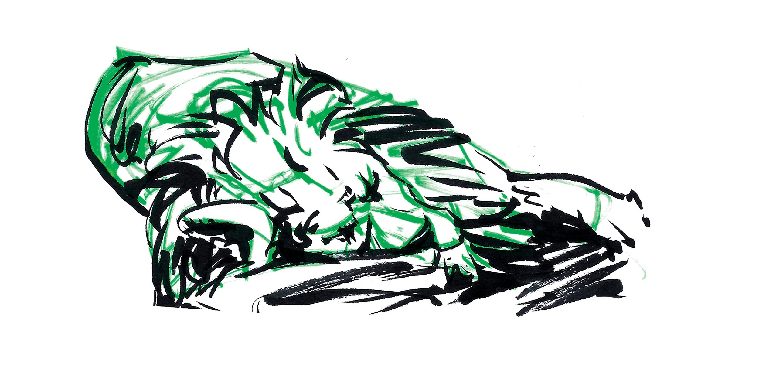 lion2.jpg