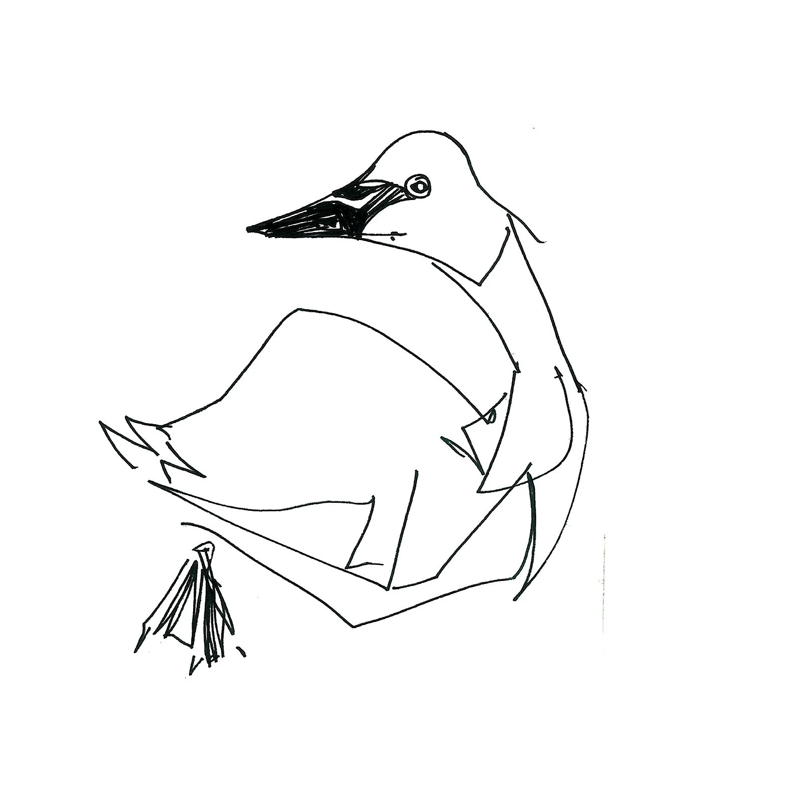 duckiee.jpg