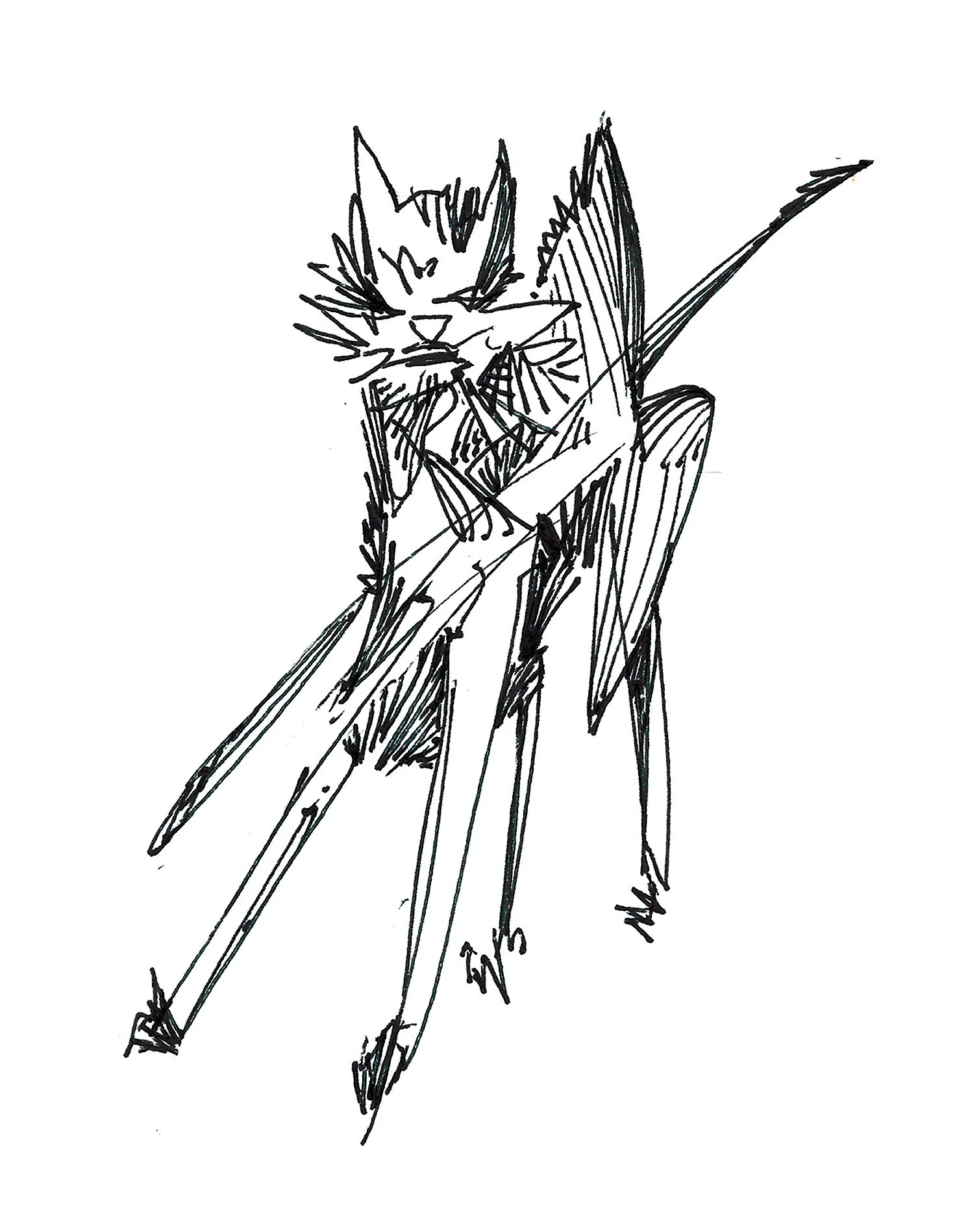 catt.jpg