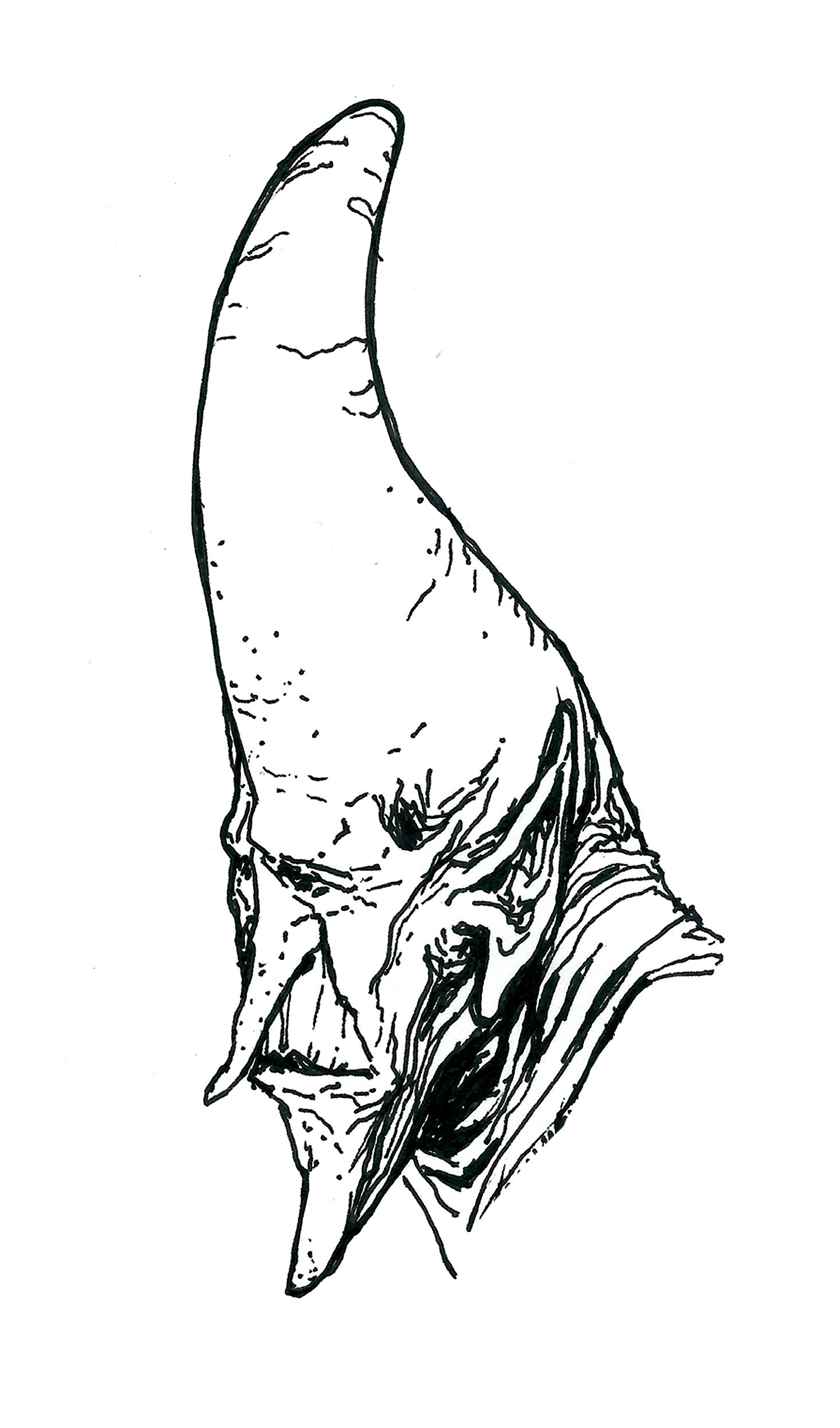 conehead.jpg