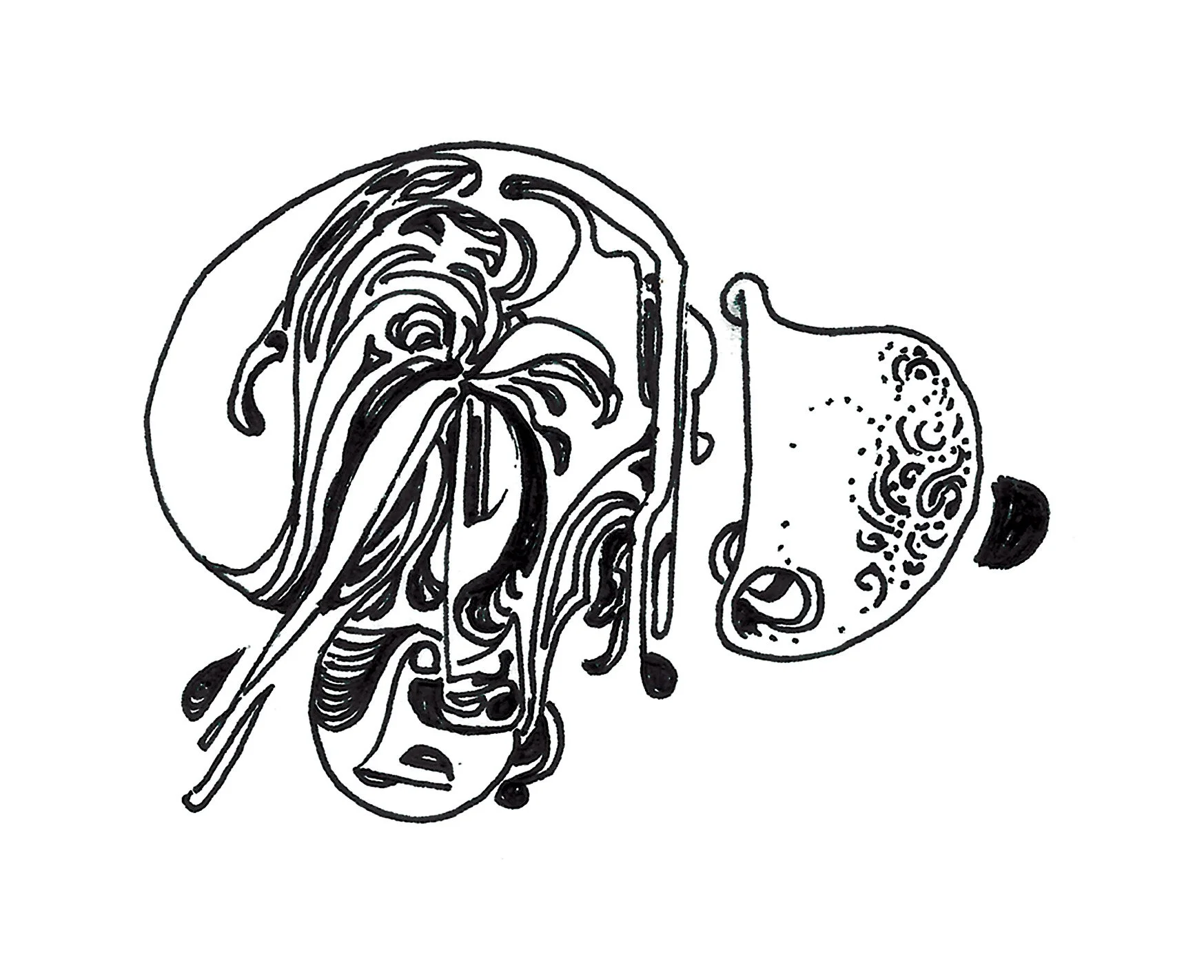 strange shape.jpg