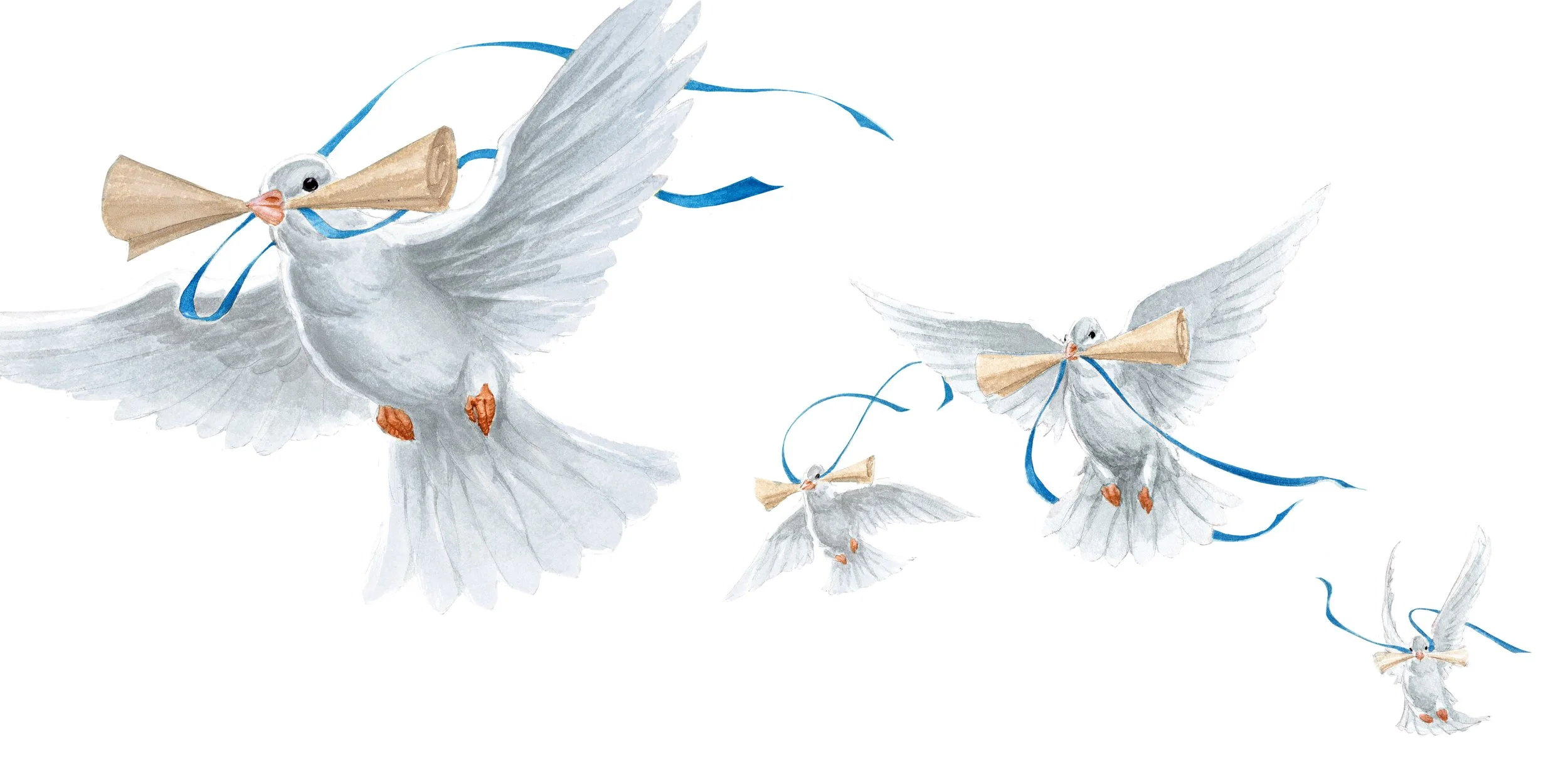 TKG FINAL ILLUSTRATIONS 6 - 5.jpg