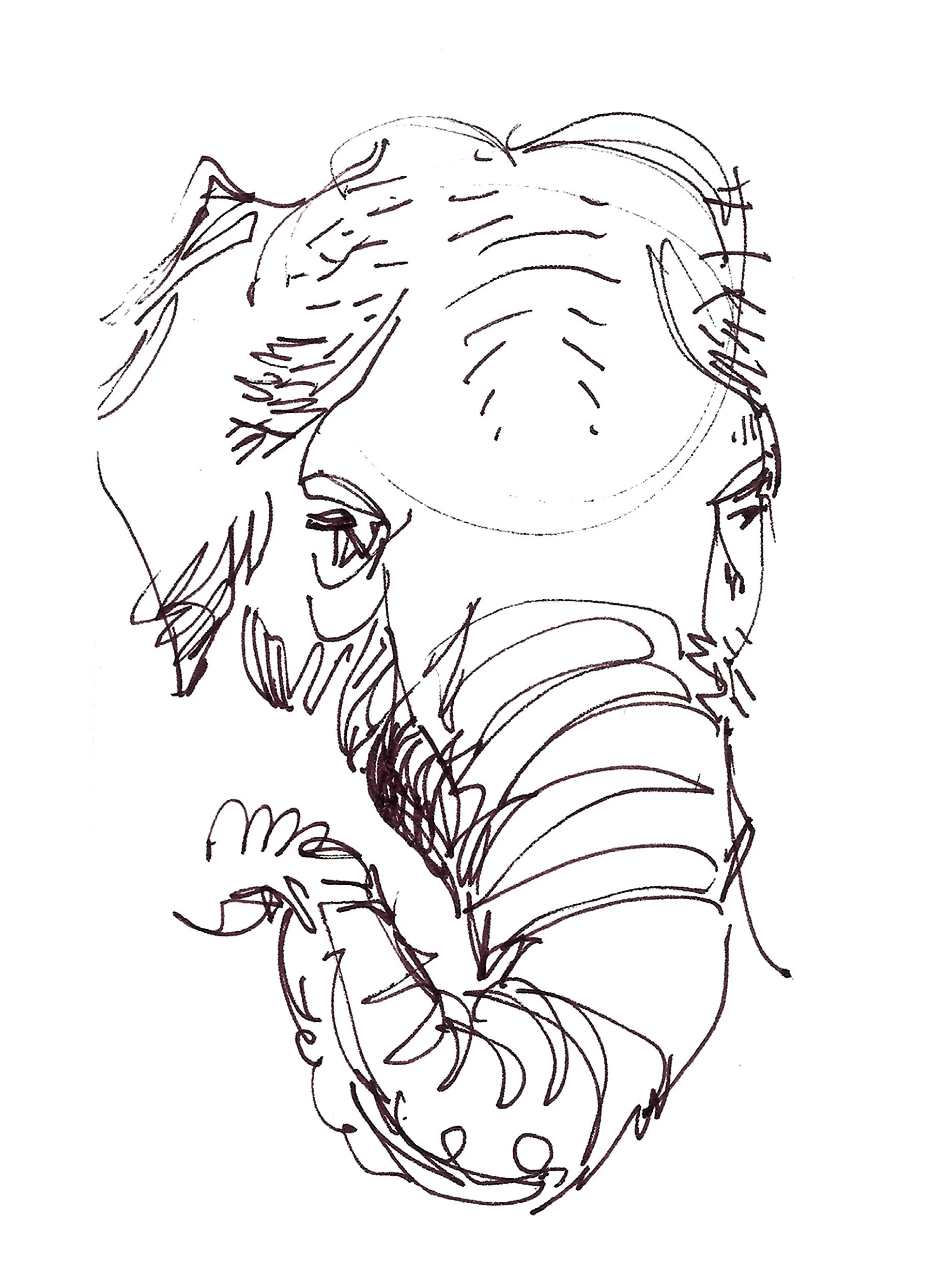 elephant.jpg
