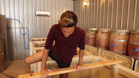 pat grape stomping.gif