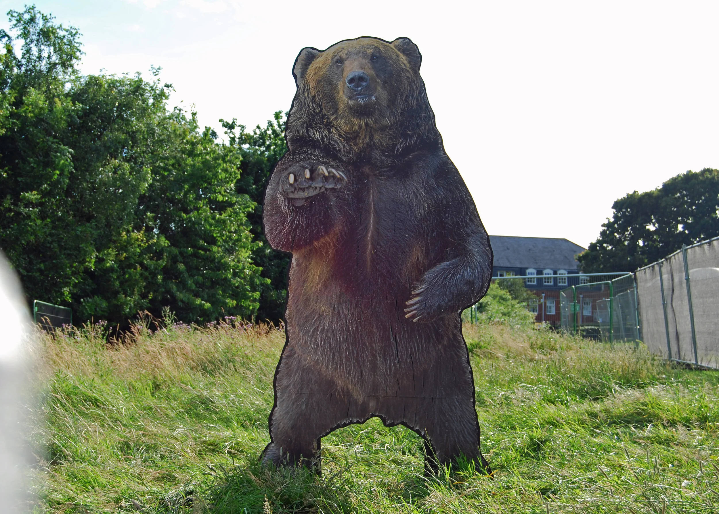 vip bear 2.jpg