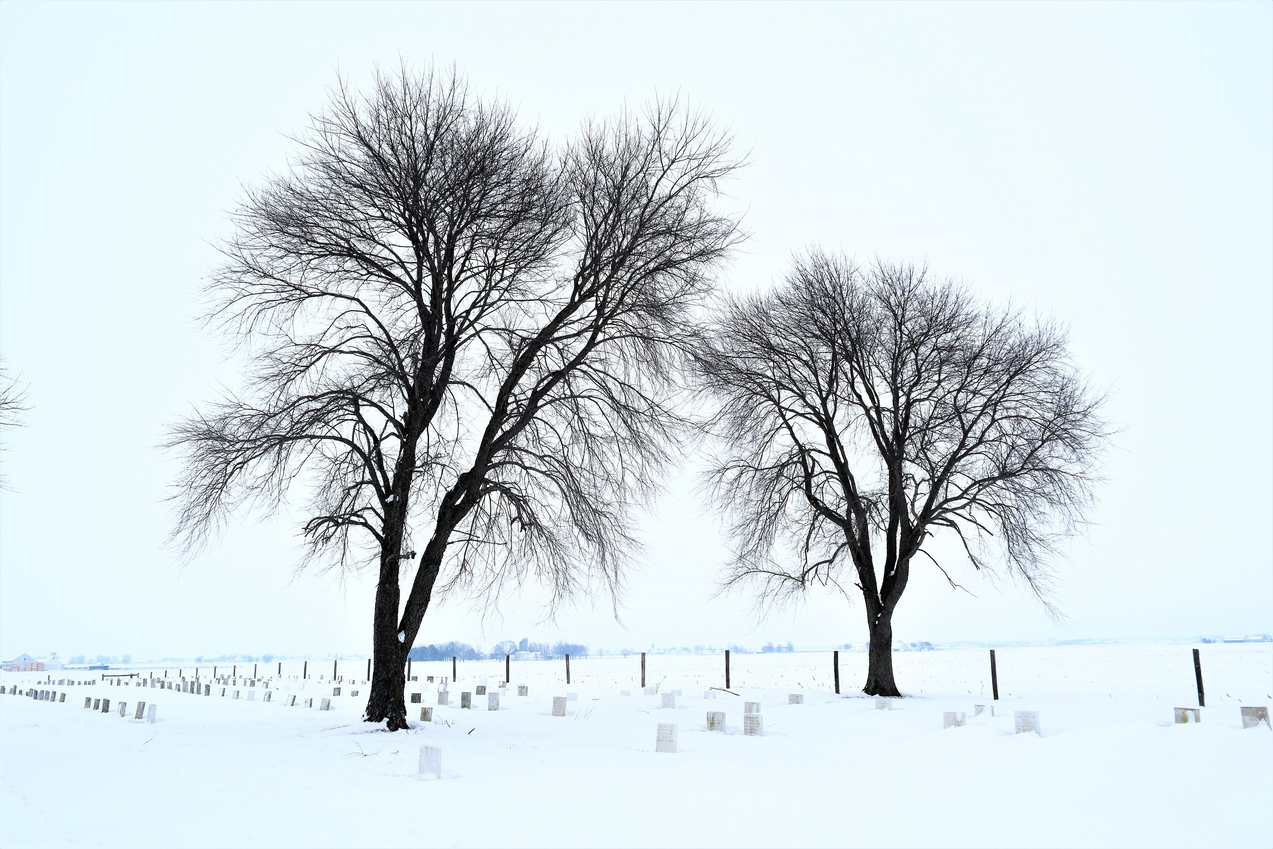 0DSC_9933.jpg