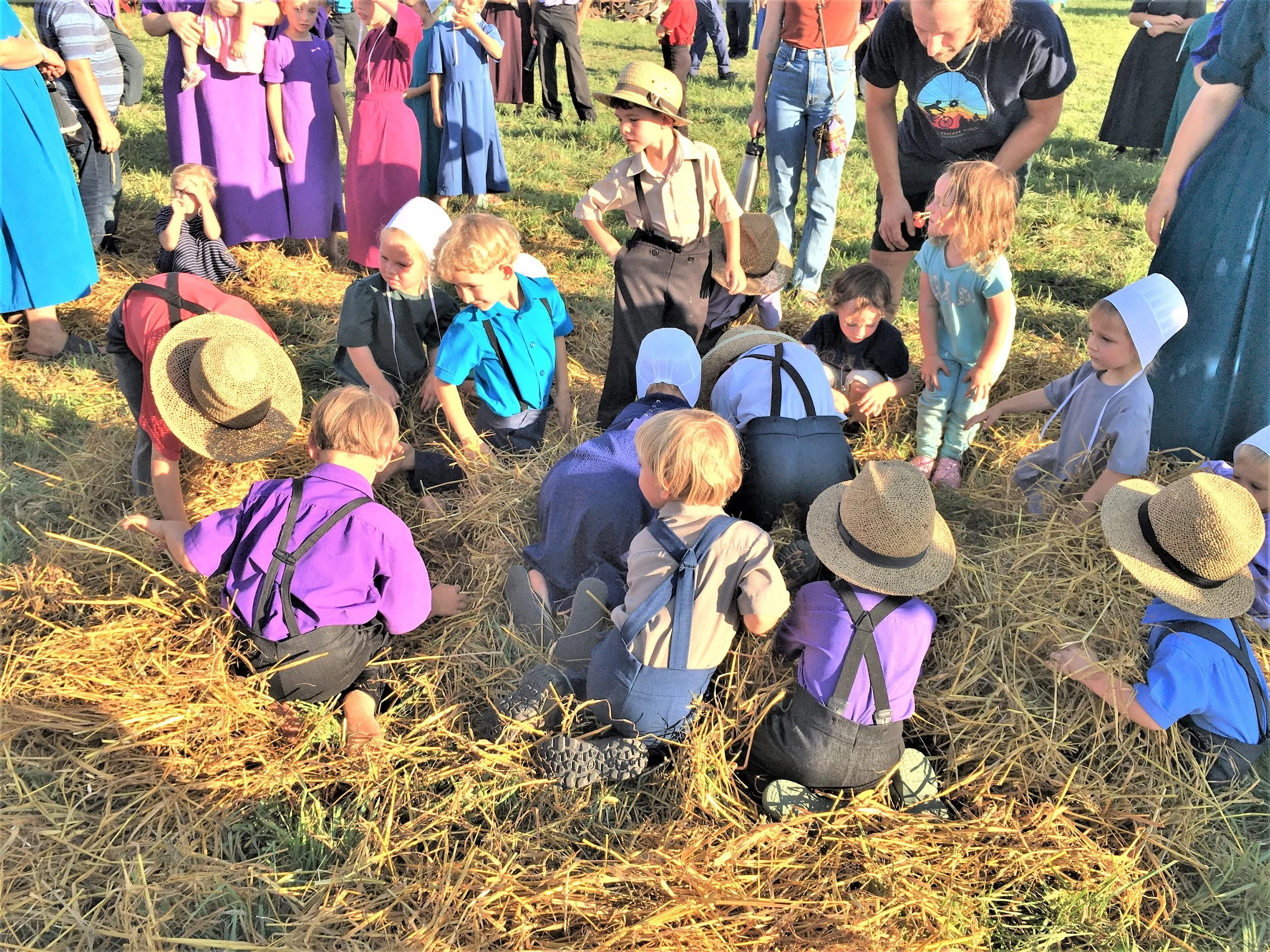 2022 Steam Threshing (17) Quarters in the straw.JPG