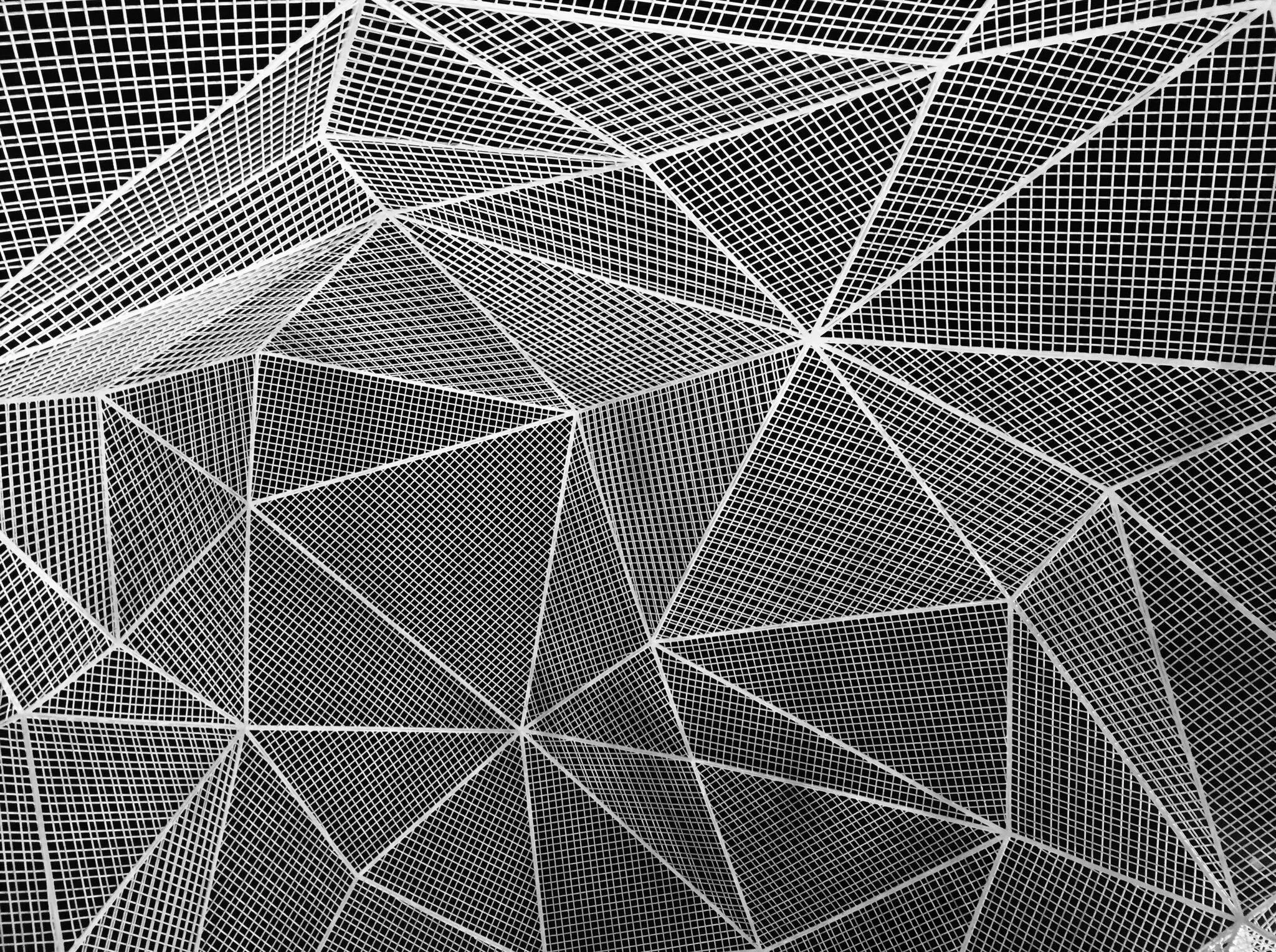 21908367_10155856636675087_986276468_o.jpg