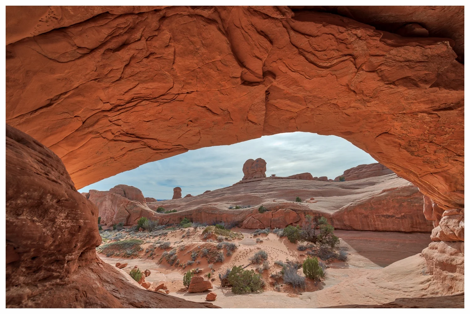 Eye Of The Whale Arch