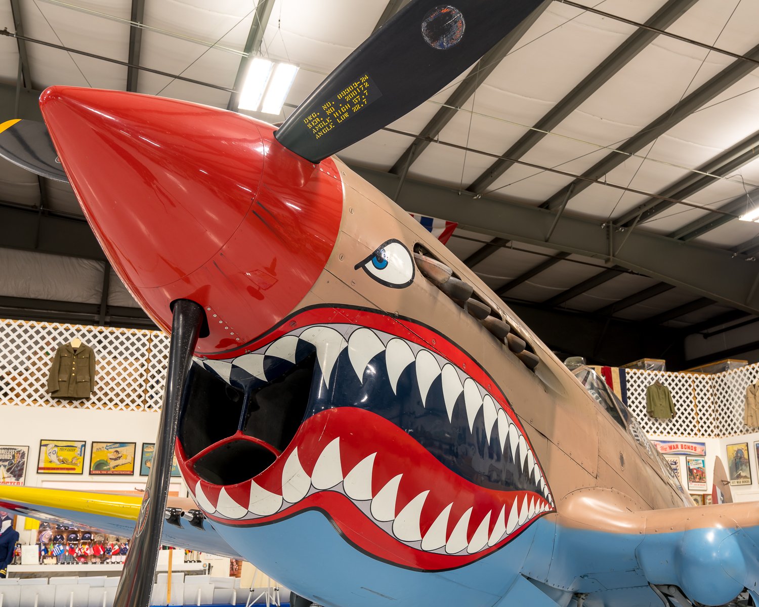 P40-3.jpg