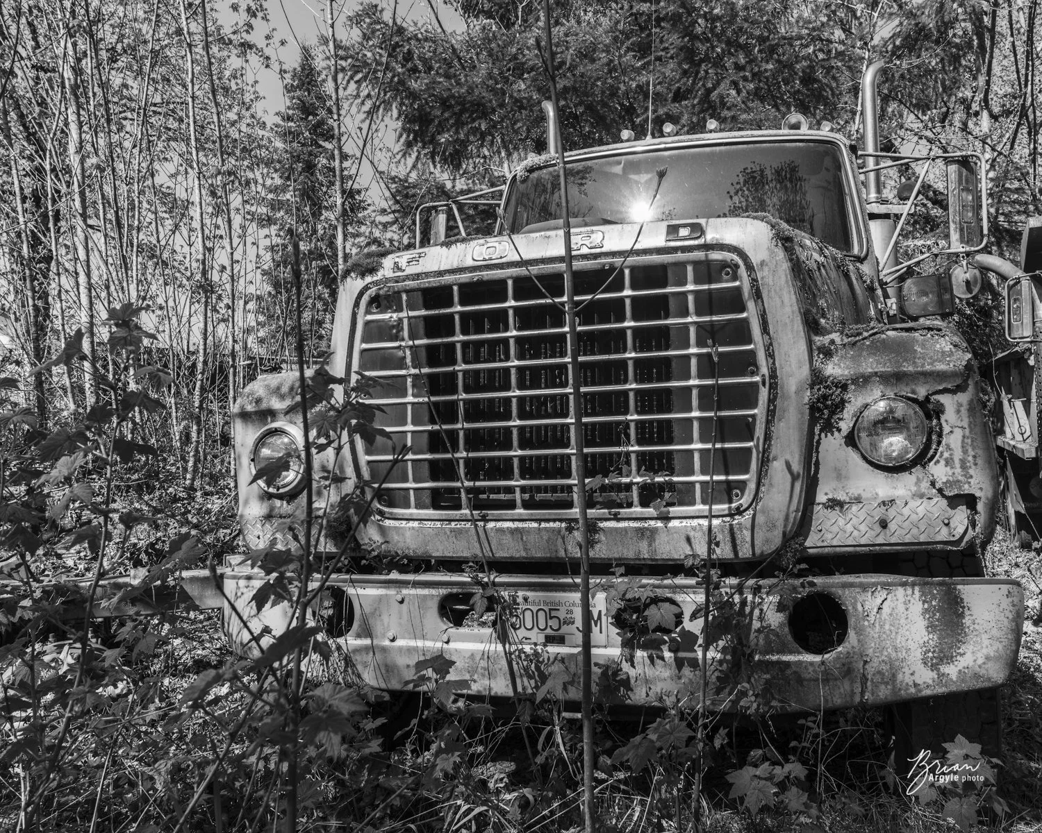Old Truck.jpg