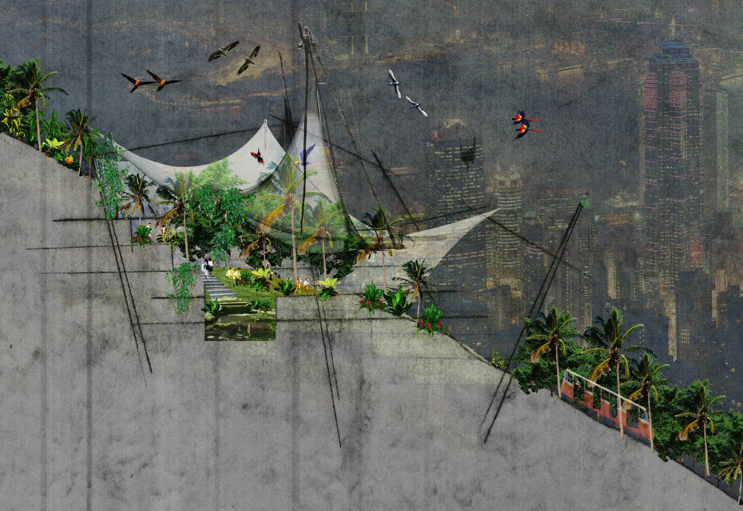 zoom_aviary - SM.jpg