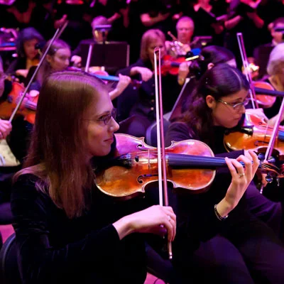 Meet the Musicians — Northwest Symphony Orchestra