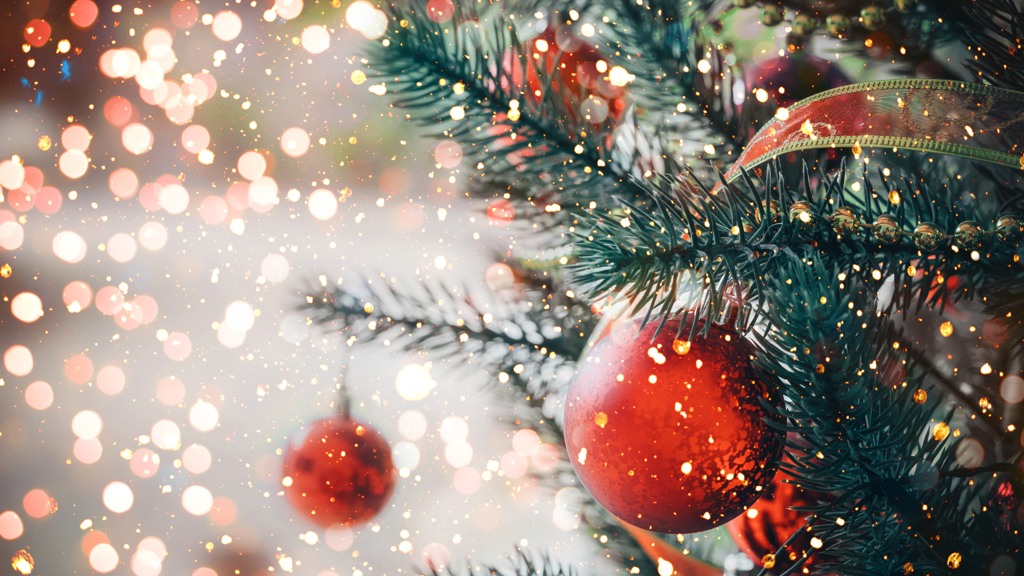 20251221_My favorite.png