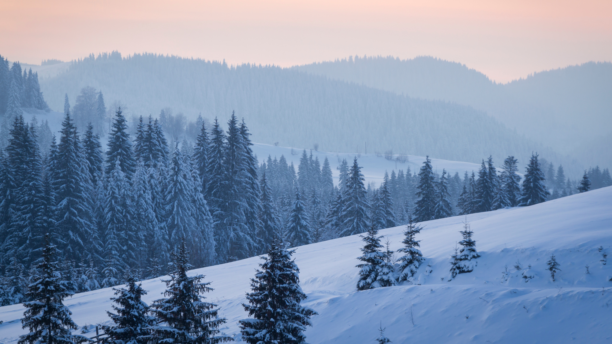 Copy of  20251228_Announcements (4).png