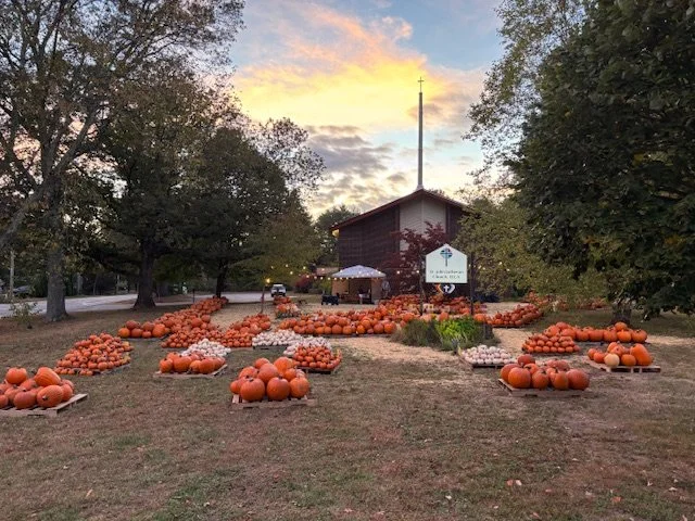 pumpkin Patch 2.jpg