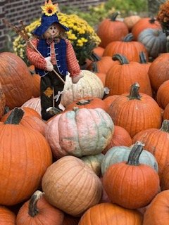 IMG_9139.JPG