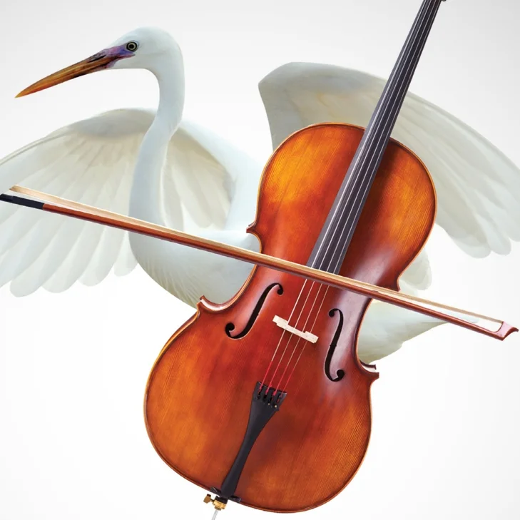 CSF_Egret.jpg