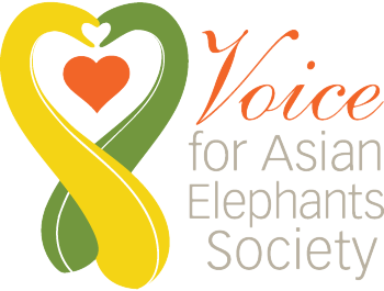 VoiceForAsianElephant-Logo.png
