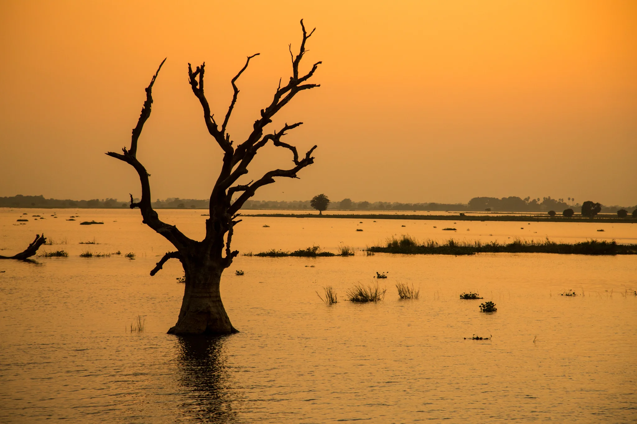 groves_mandalay-4844.jpg