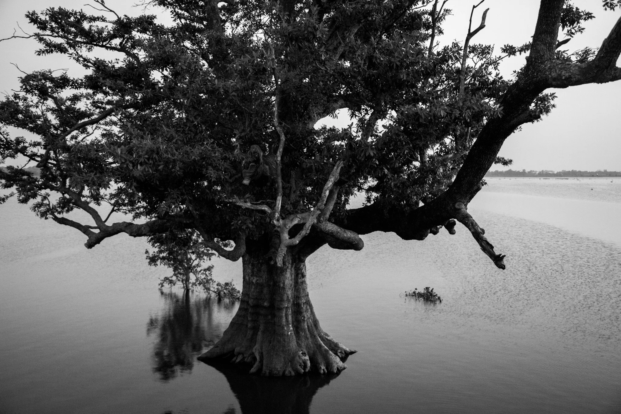 groves_mandalay-4866.jpg