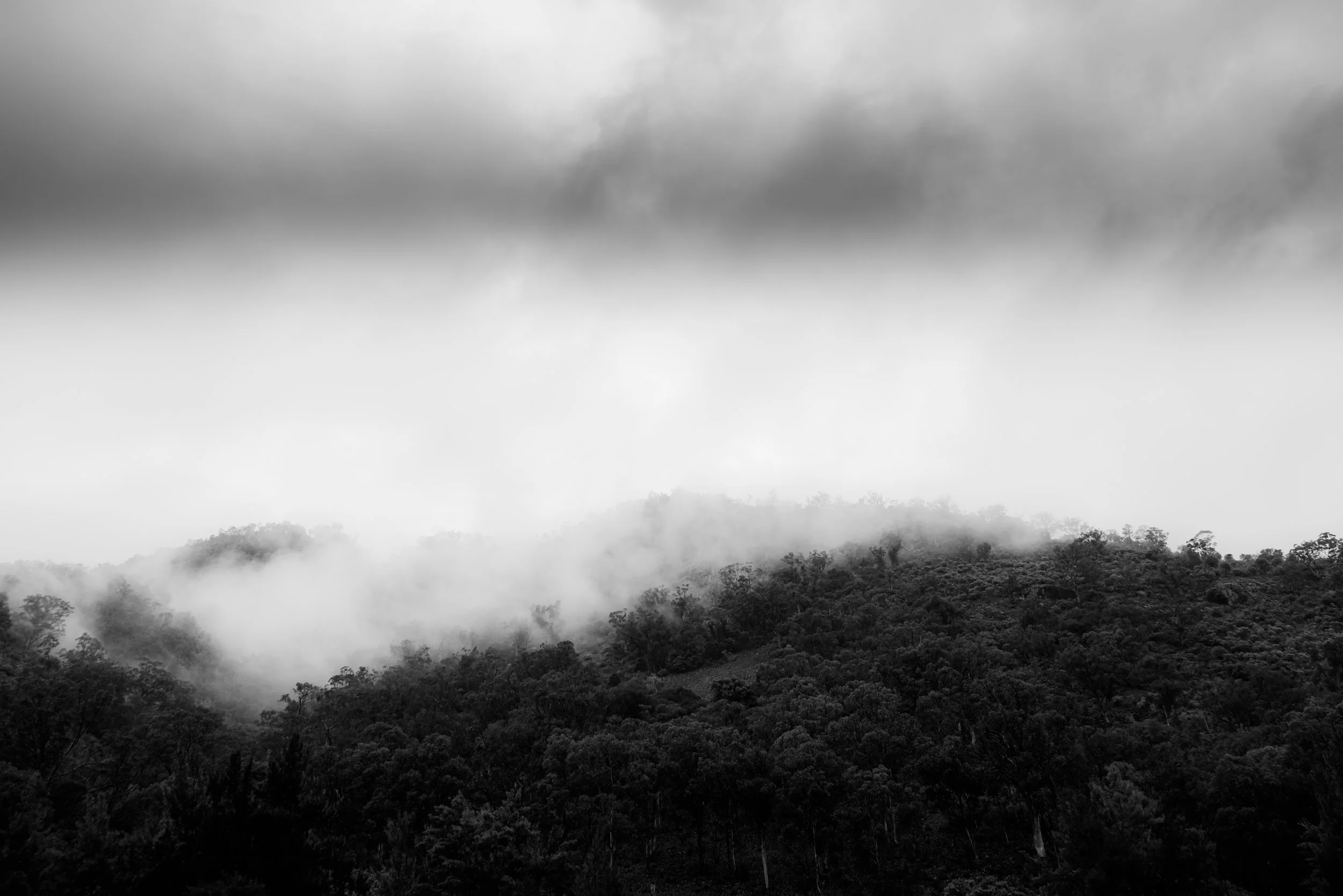 DSCF4028.jpg