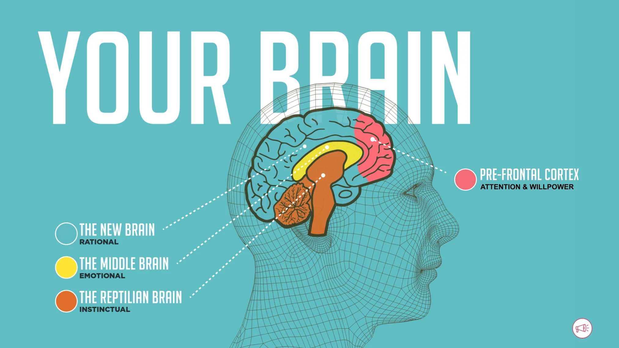 Procrastination is a hangover of our evolutionary past. Understanding how it works in our brain is the first step to understanding how to defeat it.