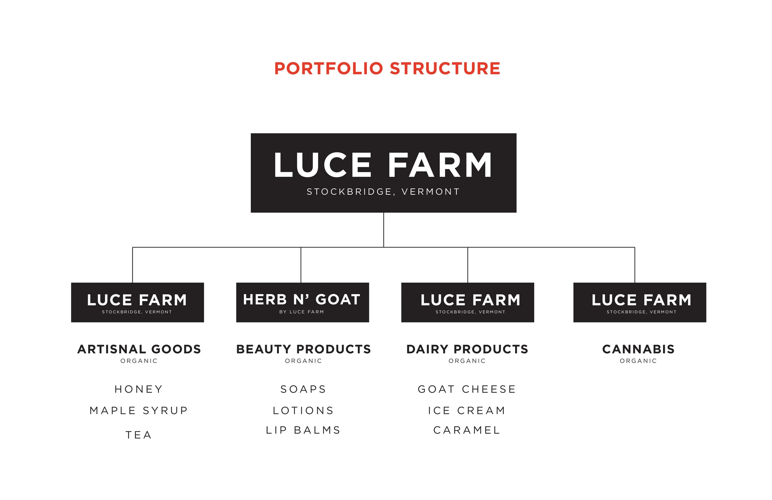 LUCE_brand_strategy_R4-03 copy.jpg