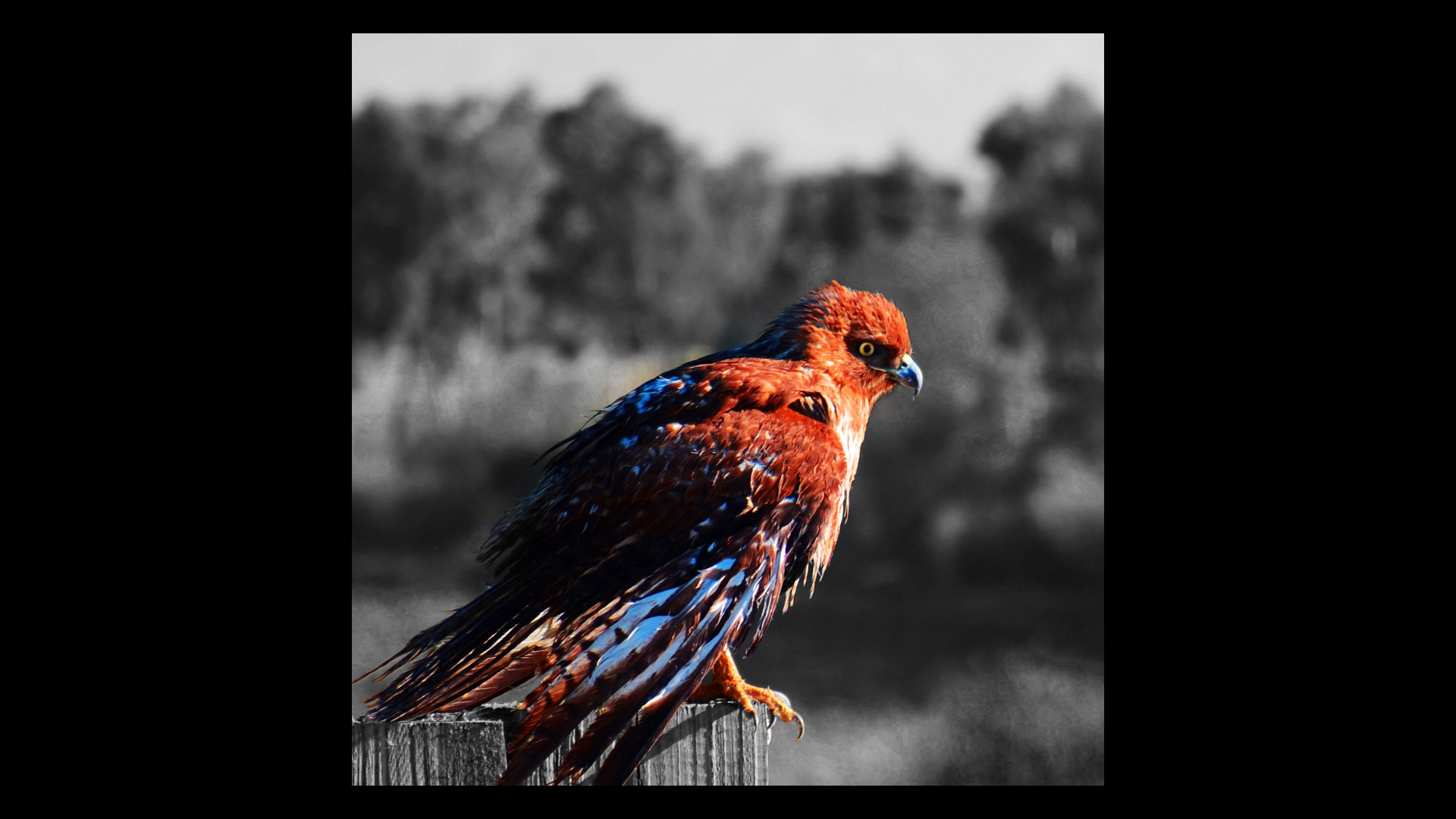 2015, Griffith Park, Nikon D7200