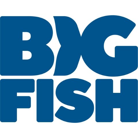 BigFish.jpg