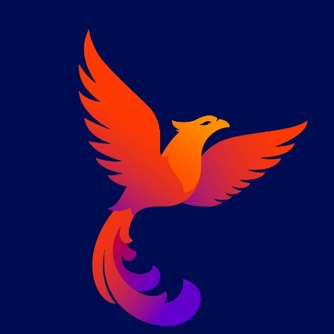 Phoenix Animation.jpg